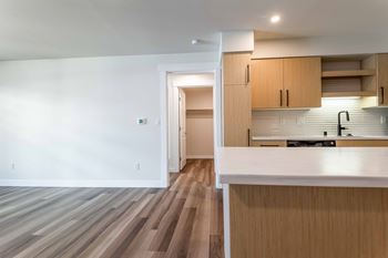 Open concept kitchen and living area with wood flooring